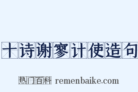 十诗谢寥计使造句是什么意思的图片